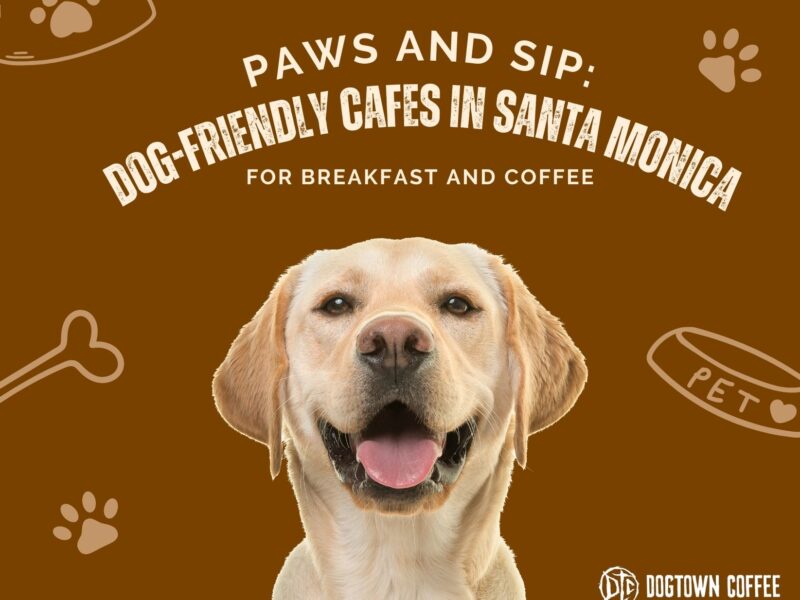 image-of-a-dog-blog-title-Paws-and-Sip-Dog-Friendly-Cafes-in-Santa-Monica-for-Breakfast-and-Coffee-Facebook-Post