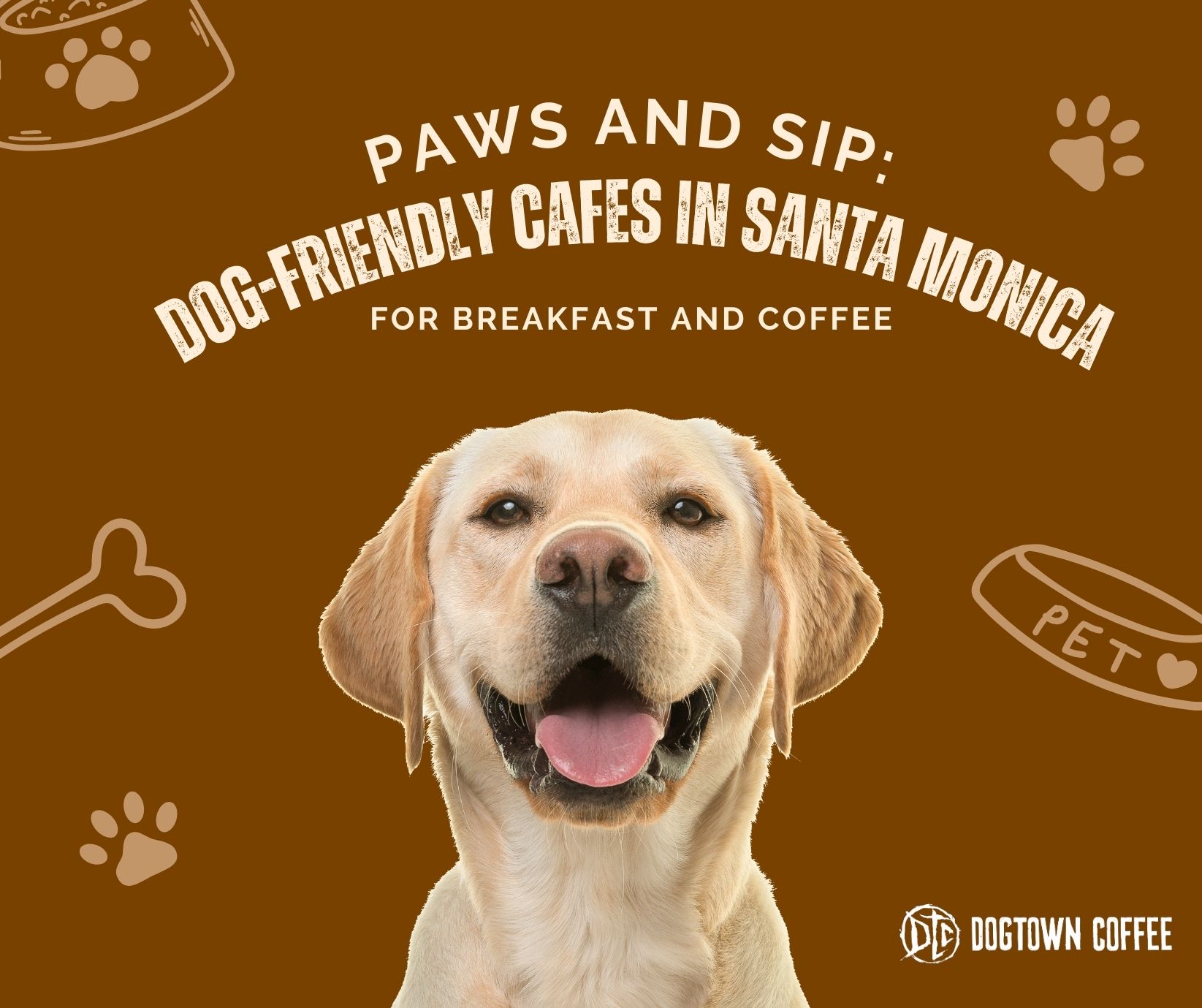 image-of-a-dog-blog-title-Paws-and-Sip-Dog-Friendly-Cafes-in-Santa-Monica-for-Breakfast-and-Coffee-Facebook-Post