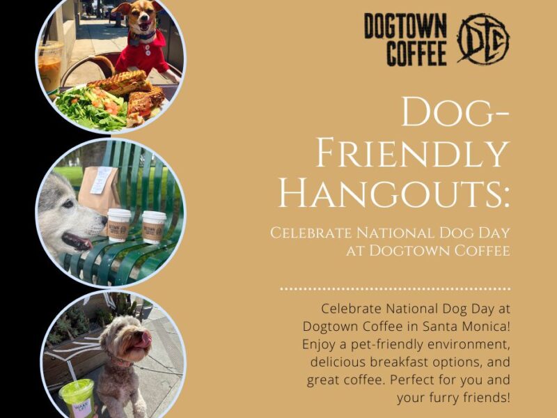 images-of-dogs-with-dogtown-coffee-menu-items-blog-title-Dog-Friendly-Hangouts-Celebrate-National-Dog-Day-at-Dogtown-Coffee-facebook